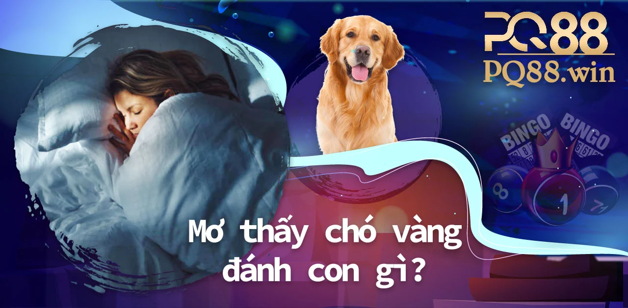 Mơ thấy chó vàng đánh con gì để ẵm giải thưởng lớn