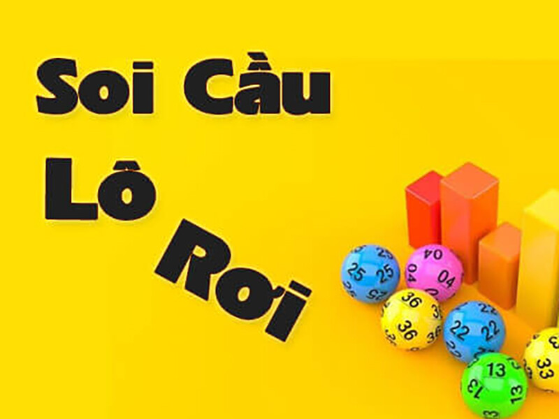 Soi Cau Lo Roi